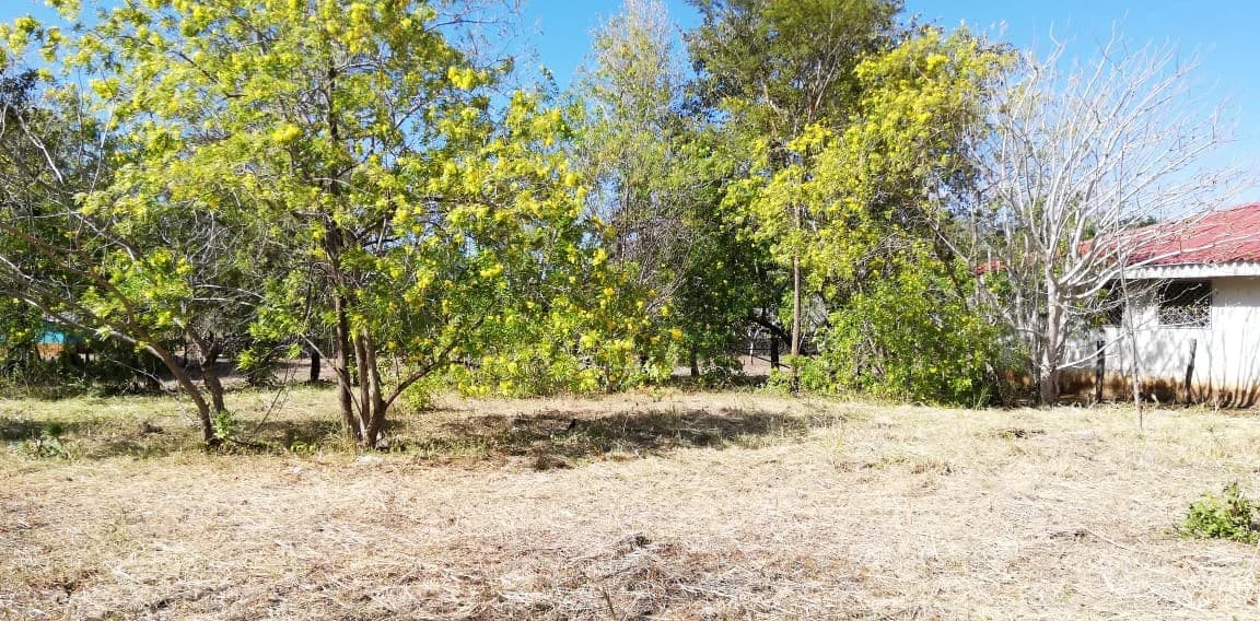 Property in Coco Beach - photo 8