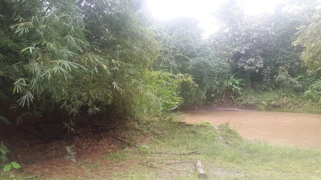 Countryside Development Parcel For Sale in Cariari - photo 16