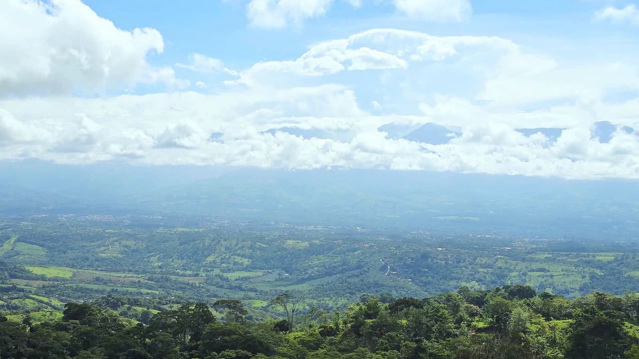 Mountain Agricultural Land For Sale in San Isidro del General - photo 3