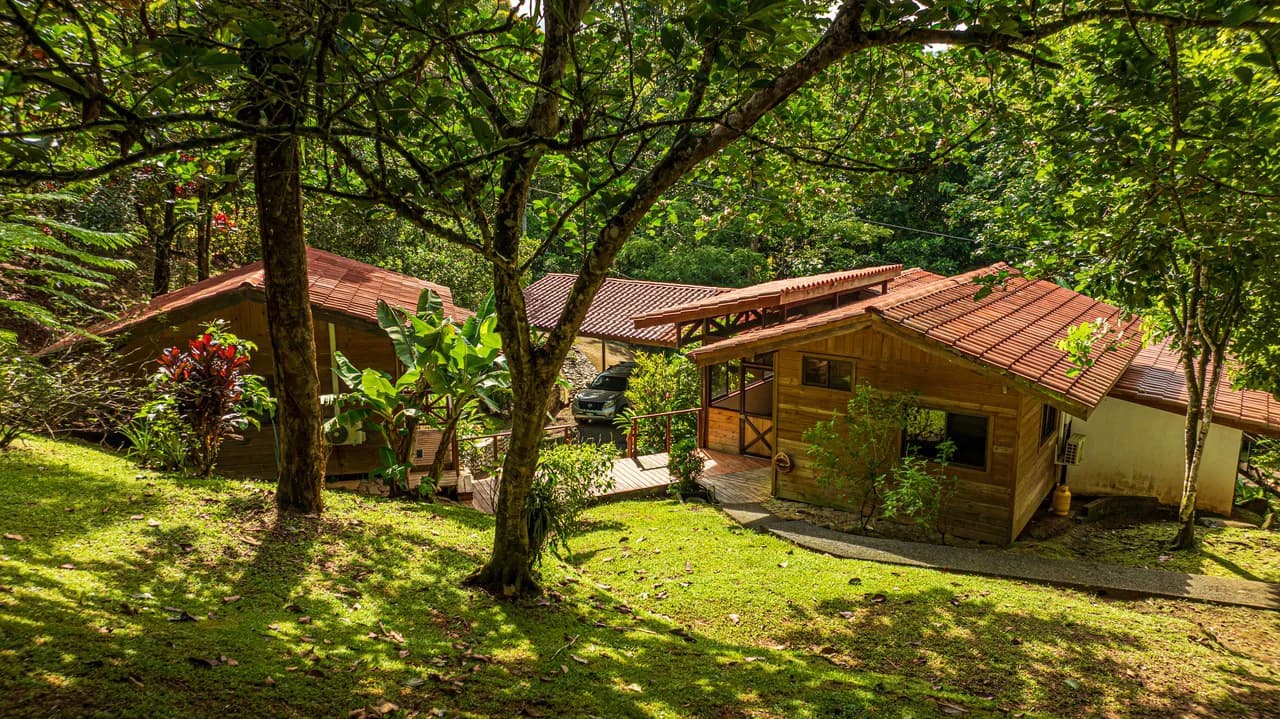 A Jungle House Built of Wood & River Dreams - photo 6