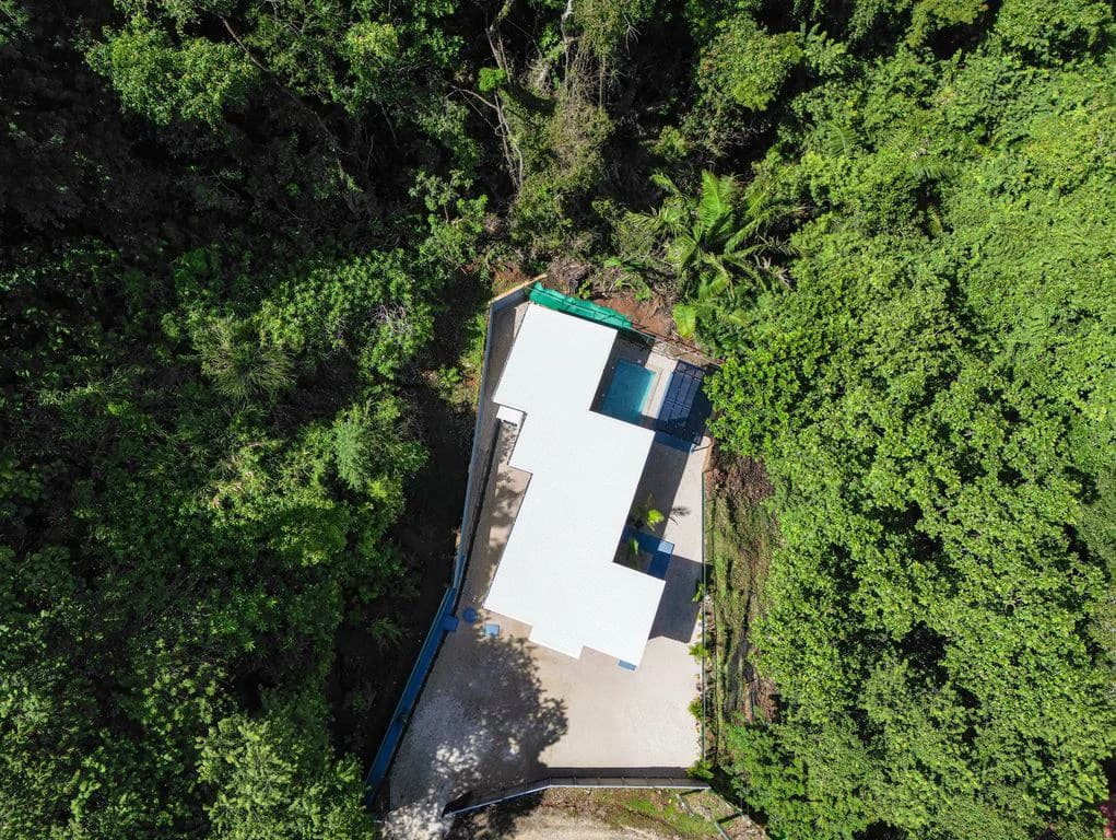 Casa Quetzal del Bosque: Turnkey Tropical Living with Income Potential – Just 5 Minutes from Carrillo Beach - photo 4