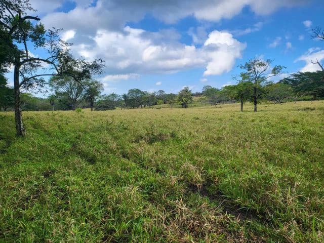 Charming property for sale in Nueva Guatemala with stunning views of the Tenorio Volcano and the beautiful green valleys - photo 11