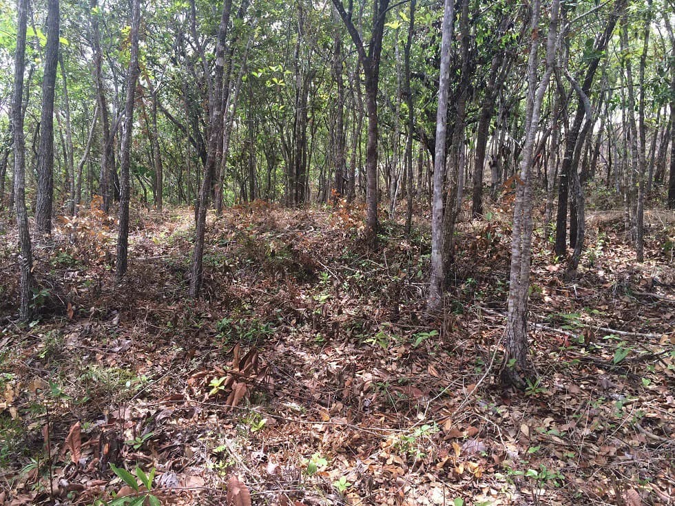 Finca grande: Economic Building property for sale in El Salto, with private access to the surrounding beautiful nature with own river - photo 9