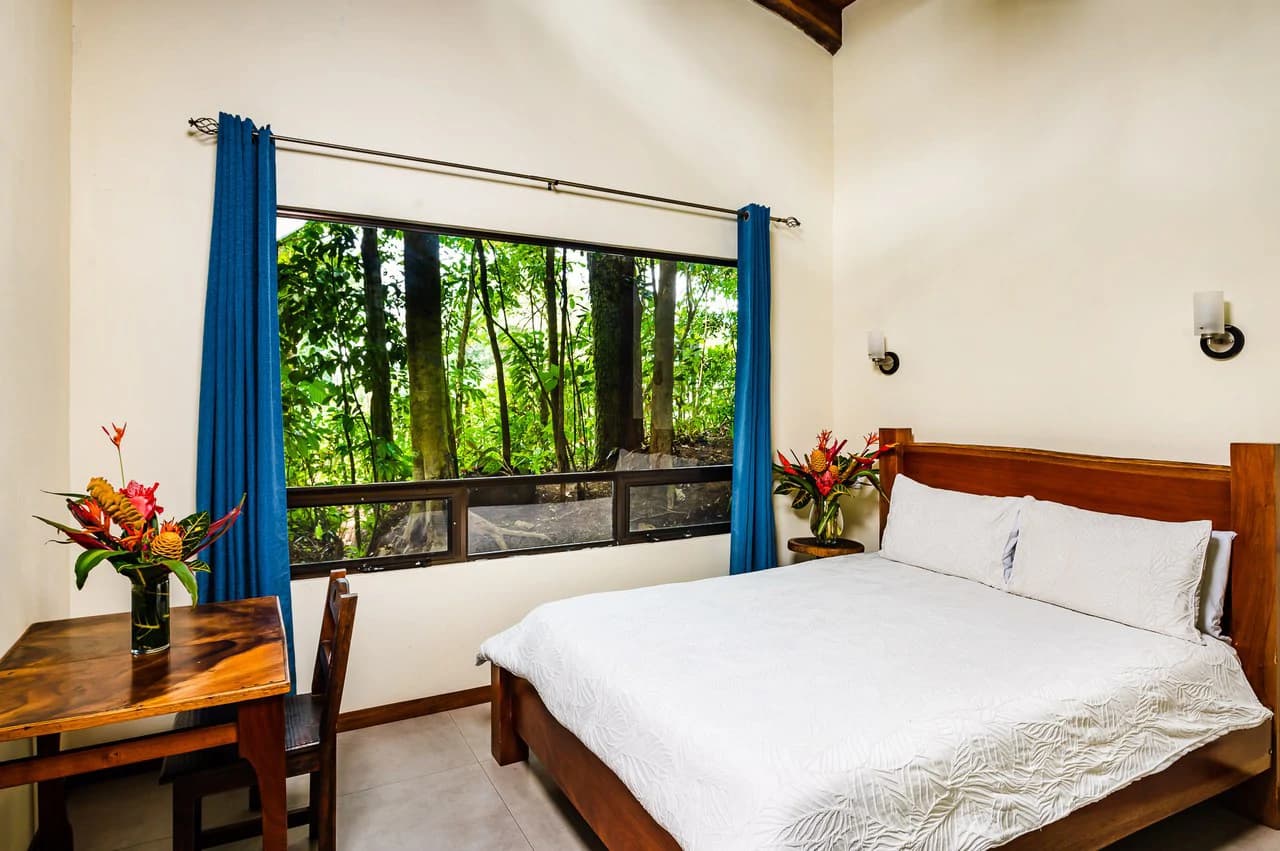 Casitas Tenorio B&B: Turnkey Eco-Lodge in Bijagua: Profitable Business, Sustainable Luxury, and Breathtaking Nature - photo 38