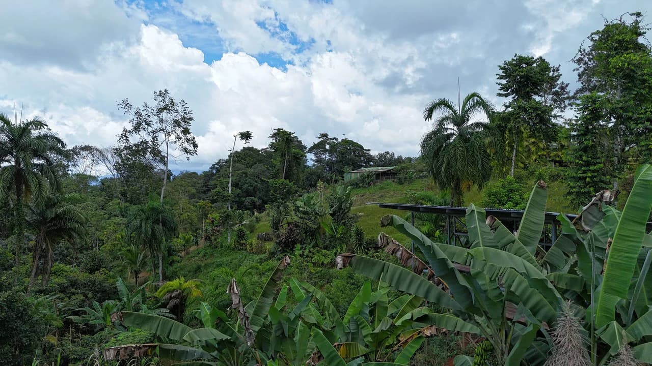 Casa Armonia: Affordable Home For Sale in Platanillo - photo 32