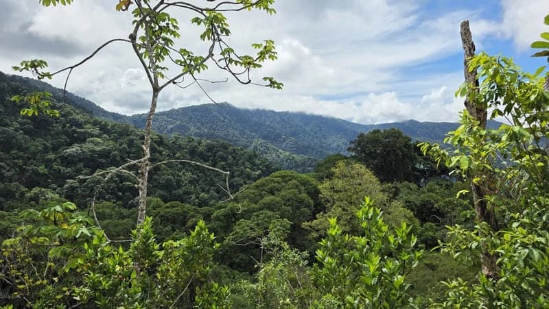 116-Hectare Finca for Sale Near Uvita with Whales Tail Views and 10 Waterfalls | La Faralla, Bahia Ballena, Uvita, Puntarenas, Costa Rica - photo 33