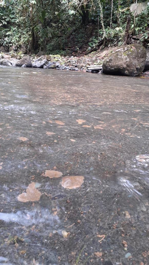 SECLUDED PARADISE WITH STUNNING VIEWS, WATERFALLS & ABUNDANT WILDLIFE - photo 13