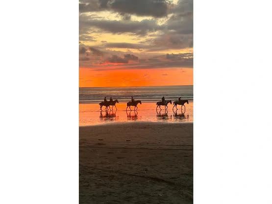 BEACH FRONT HOTEL JACO - photo 27
