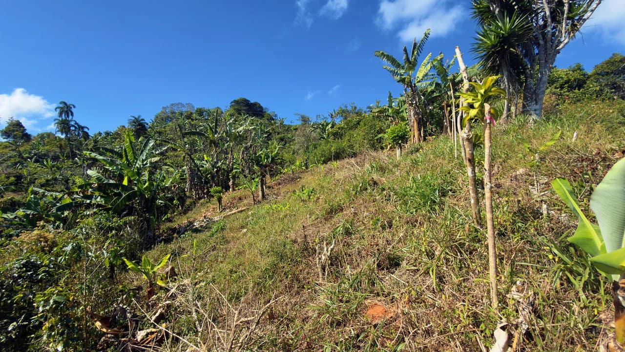 Countryside Home Construction Site For Sale in San Rafael - photo 11