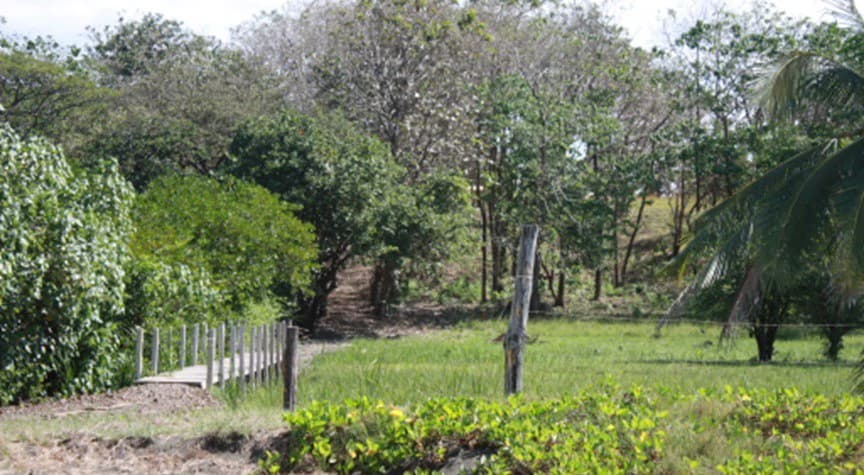 Commercial Property in Junquillal Beach - Santa Cruz