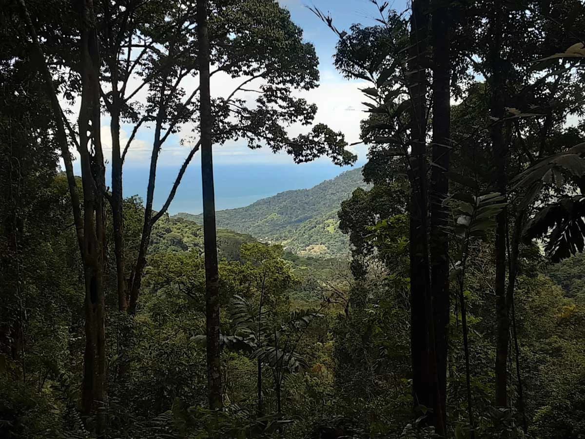 Finca Tesoro Escondido - The Jewel of Uvita - photo 9