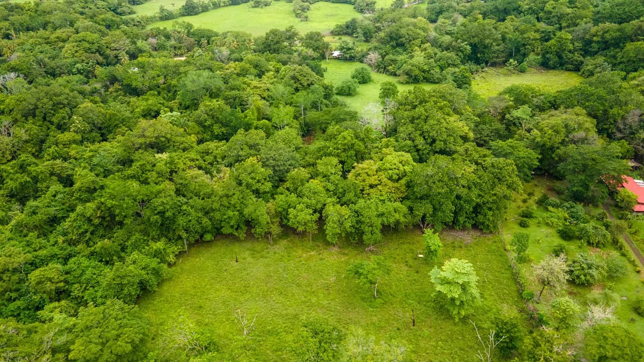 Exceptional Nearly 3-Hectare Property in Pueblo Nuevo, Bejuco, Guanacaste - photo 7