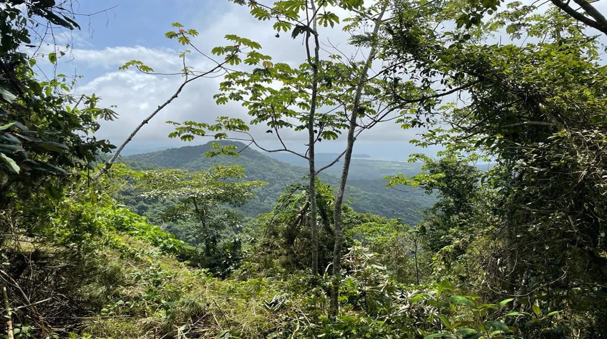 Ocean View Farm for Sale Guanacaste Costa Rica - photo 2