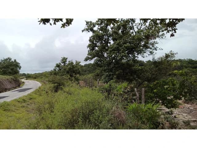 Huge Tico-Farm for sale with a big house in the mountains of Liberia, surrounded by nature and fantastic valley views - photo 33