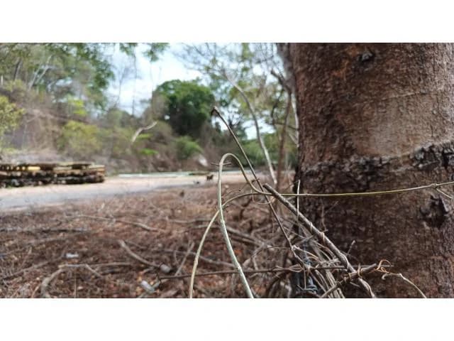 Amazing building property for sale 5 minutes away from Liberia center and 2 minutes walking to the Colorado River - photo 18
