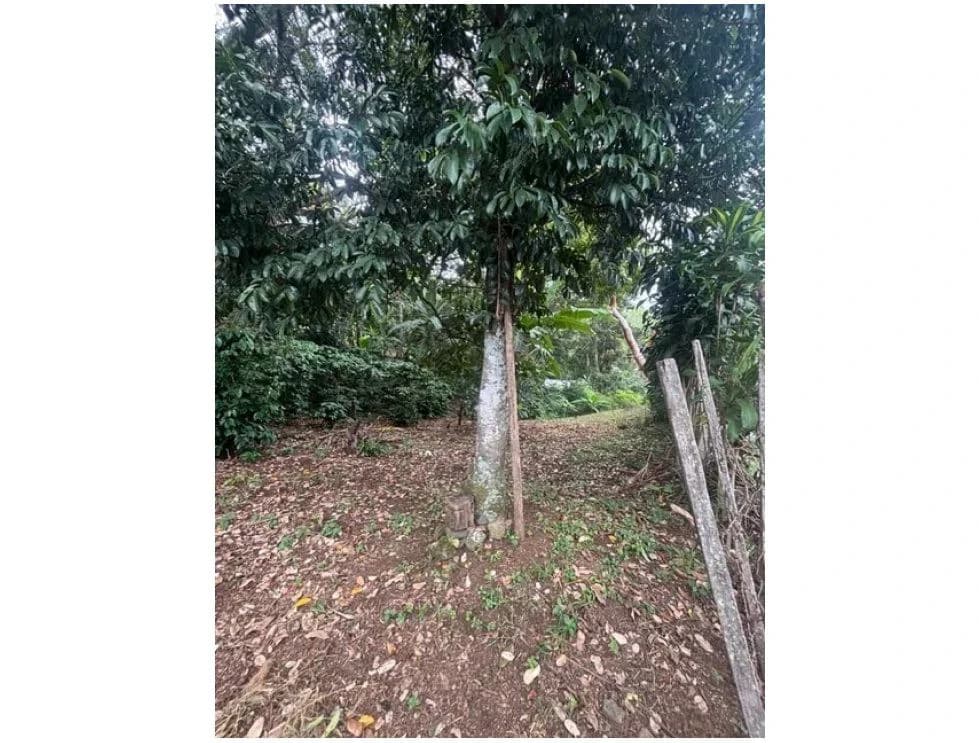 8223 m² Land in Atenas, Alajuela: Private Development in Natural Surroundings - photo 10