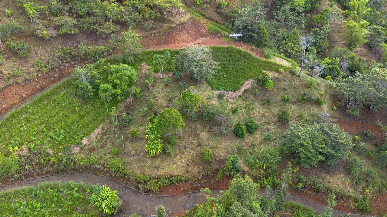 10.21 Acres with Views & Plantels – Pérez Zeledón - photo 10