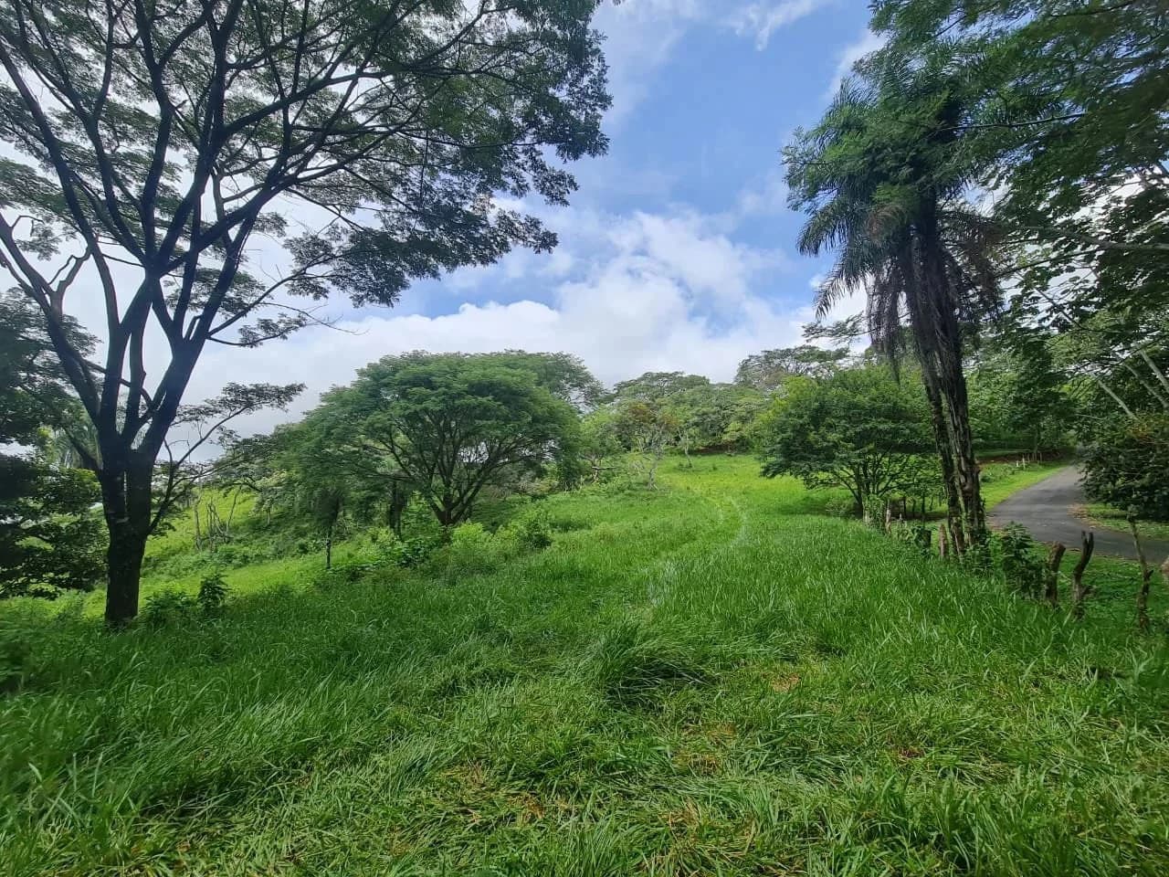 Near the Coast and Mountain Home Construction Site For Sale in Orotina y Caldera - photo 21