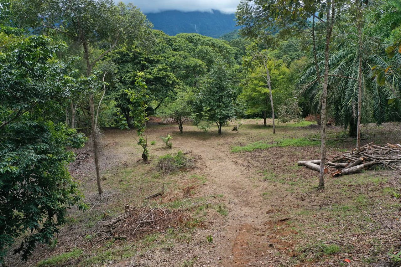 Diamante Waterfall View Land in Dominical 2.9 Acres - photo 4