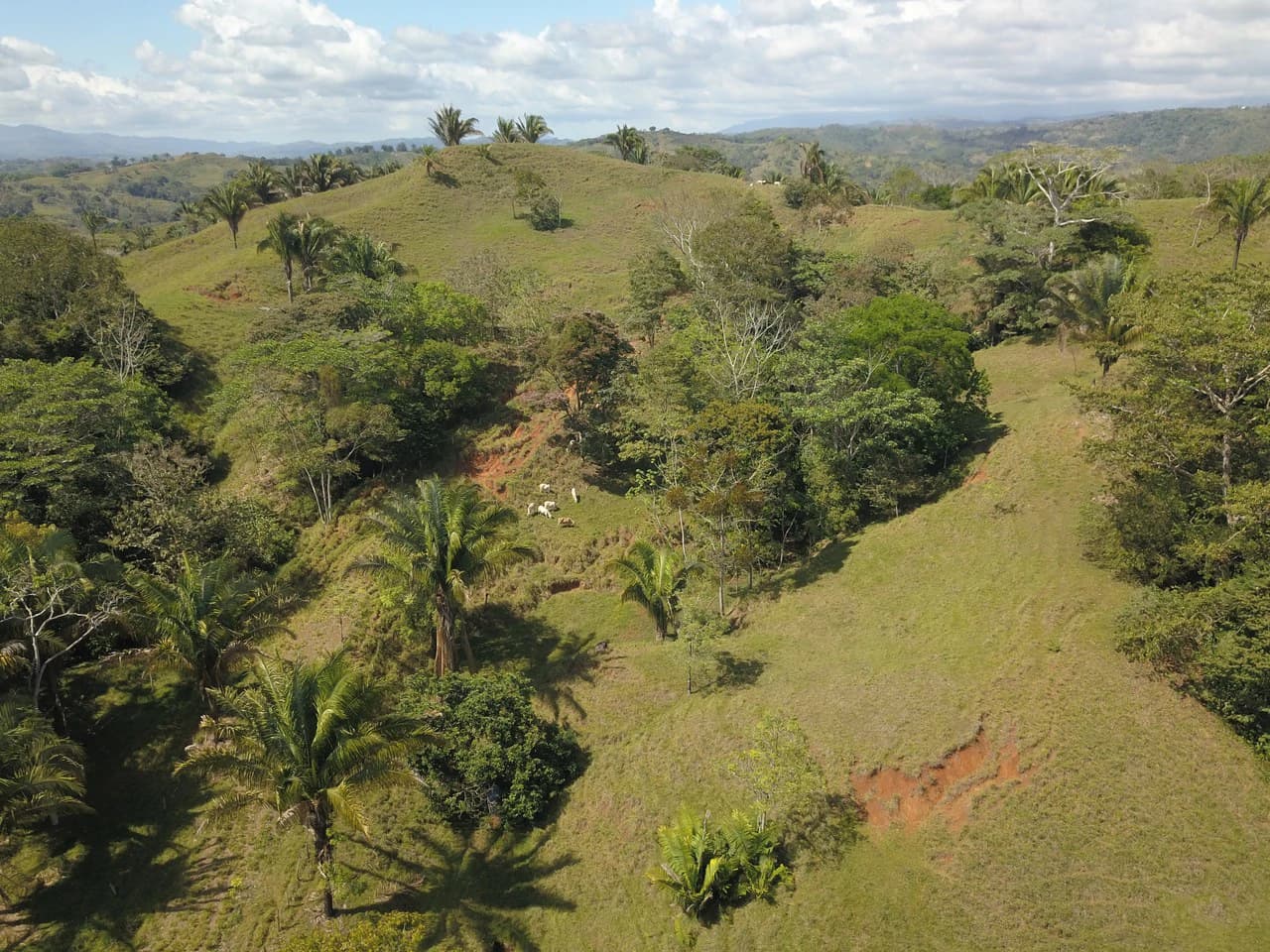 Finca Guapinol de Parrita: Near the Coast, Mountain and Countryside Agricultural Land For Sale in Parrita - photo 7