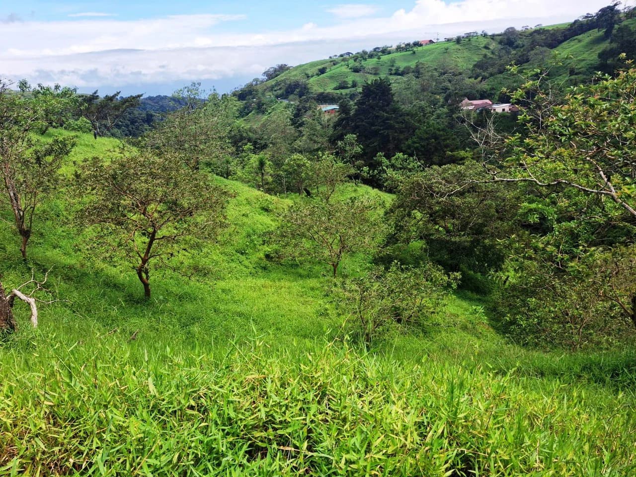 INVESTOR & DEVELOPER ALERT: High-Visibility Investment Property in the Heart of Tourist-Friendly Zarcero - photo 15