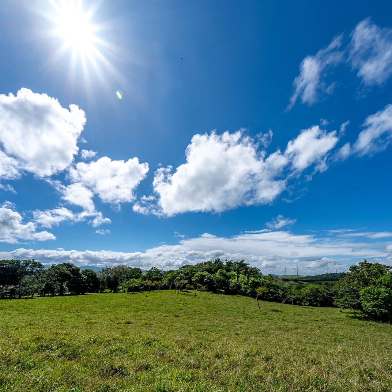 LA CABAÑA - 13+ ACRES & a TINY HOUSE & outstanding VIEWS - REDUCED PRICE - SELLER MOTIVATED - photo 13