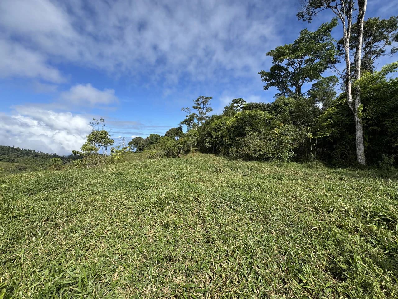 47 Acre Off Grid Ranch with Ocean & Mountain Views San Lorenzo Perez Zeledón - photo 8