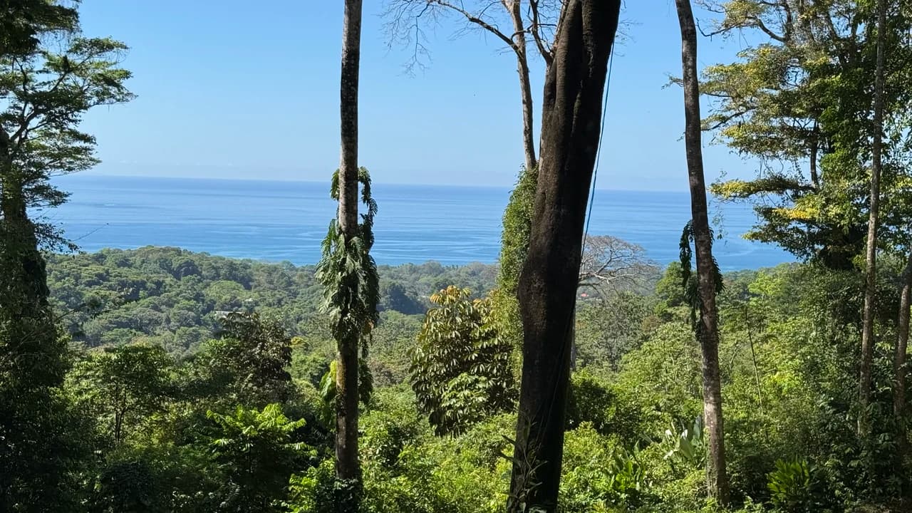 Two Ocean View Lots in Uvita – Easy Access and Large Building Sites - photo 9