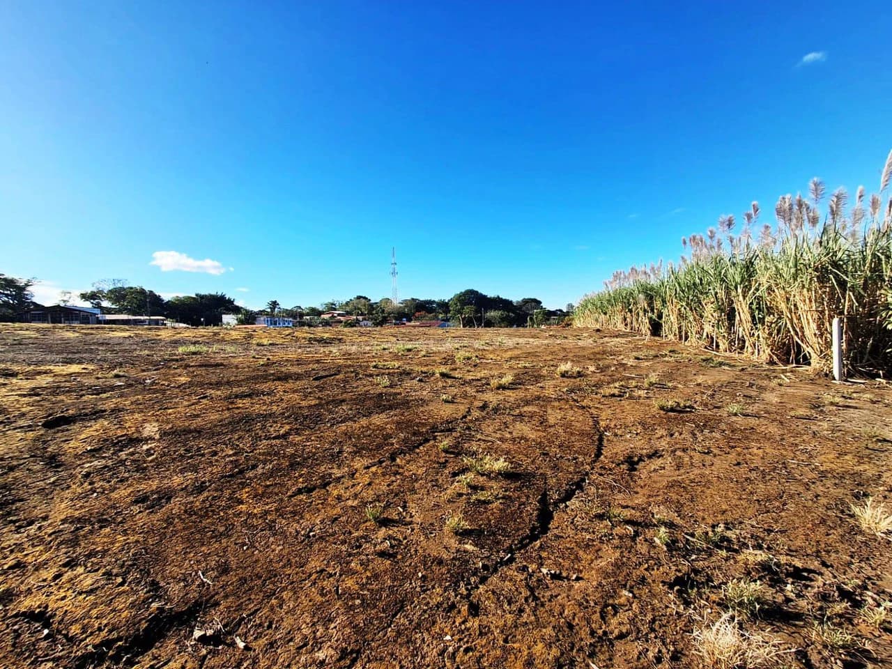 Panoramic Peaceful Escape...: 6,110 m2 with Unobstructed City Views! - photo 5