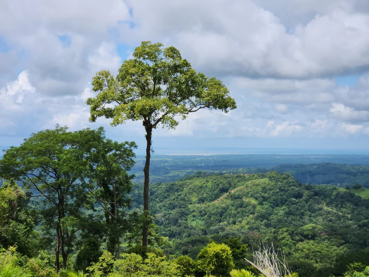 PRIME PARRITA FARM FOR SALE - photo 34