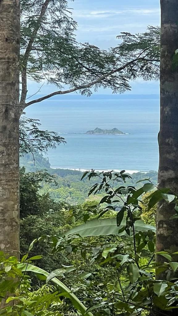 Eduardo Lee 17 Acres: Mountain Agricultural Land For Sale in Bejuco - photo 9