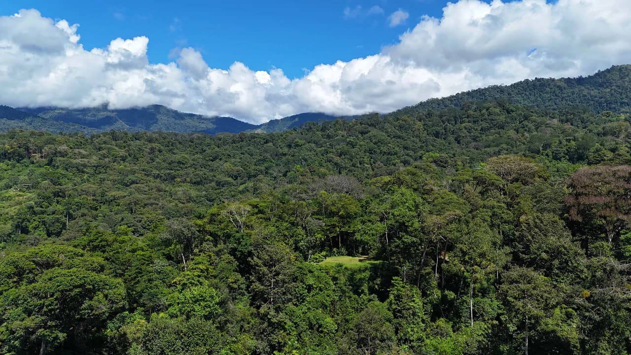 1.7 Acres Ocean View Lot with Producing Cabin in Uvita - photo 4