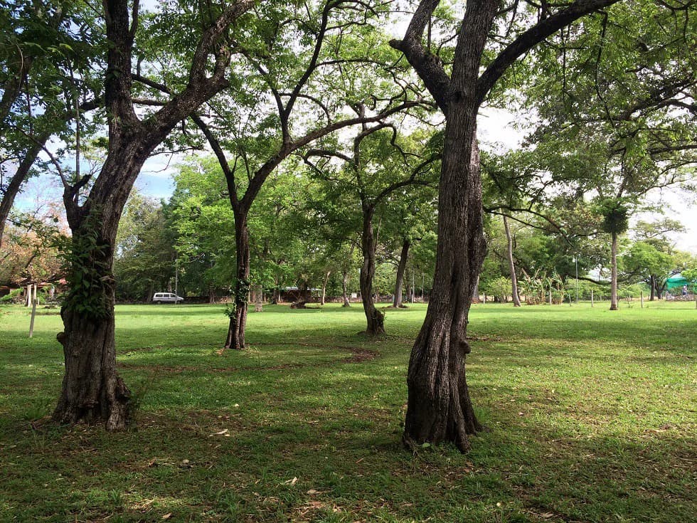 Propiedad grande: Beautiful Residential Lot in La Caraña Near Liberia – Excellent Investment Opportunity