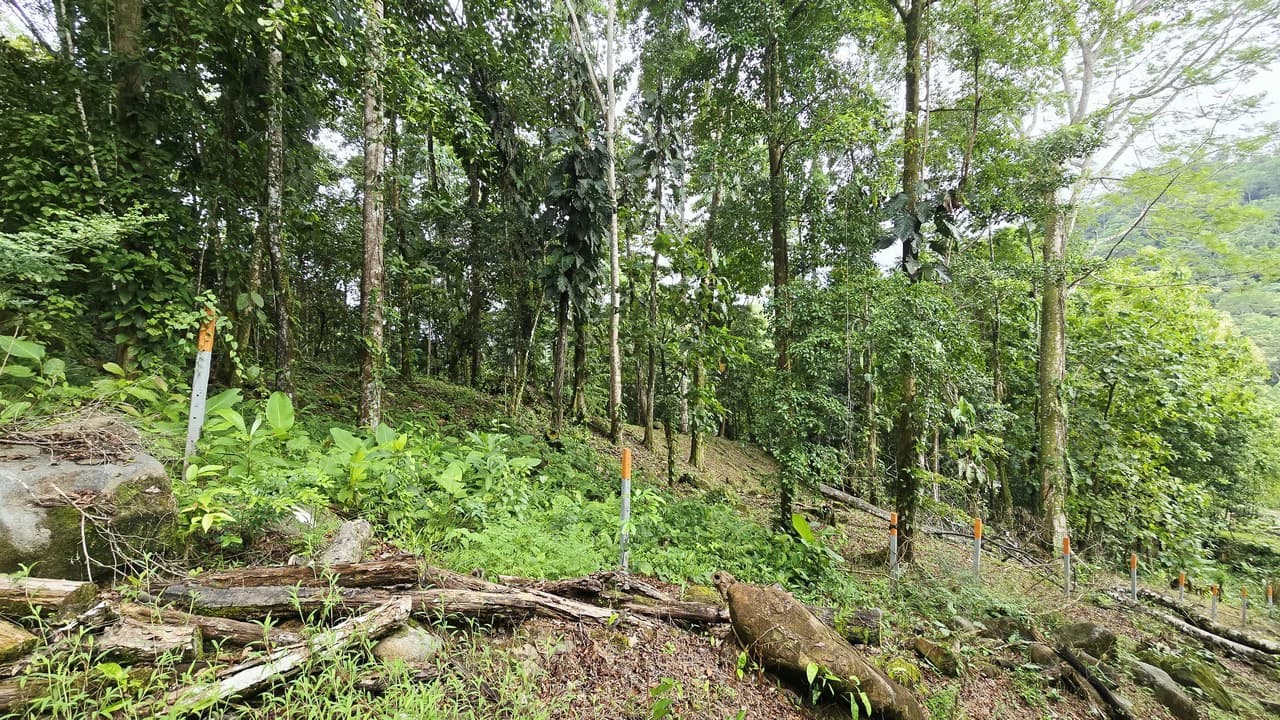 Near the Coast Home Construction Site For Sale in Uvita - photo 15