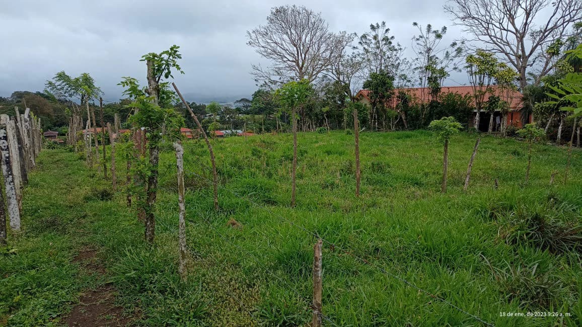 Quinta Aurora: Mountain and Lake View lot, ready for construction - photo 4