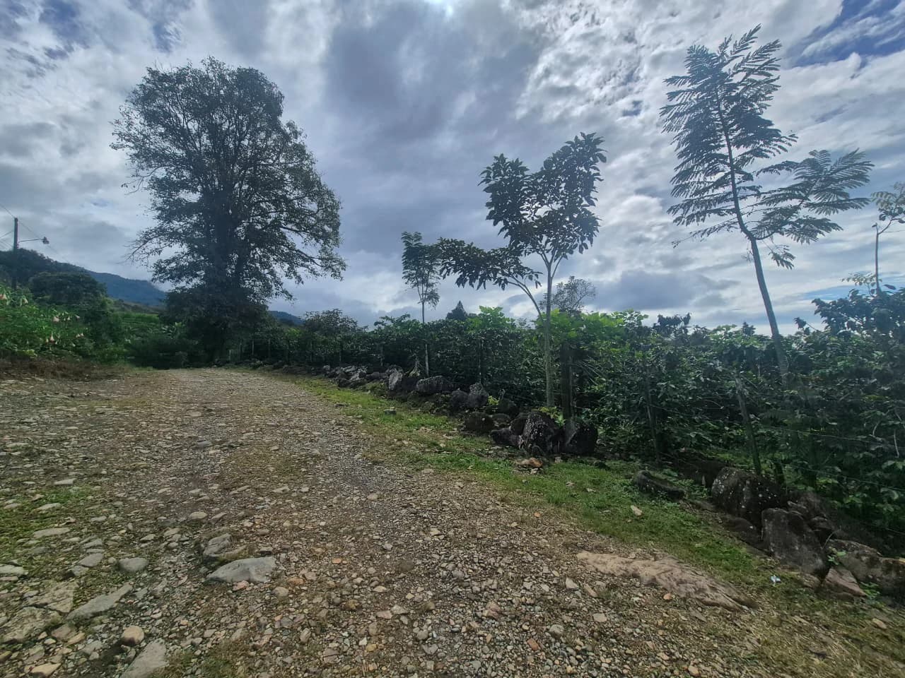 Countryside Agricultural Land For Sale in Santa Elena de San Isidro - photo 13