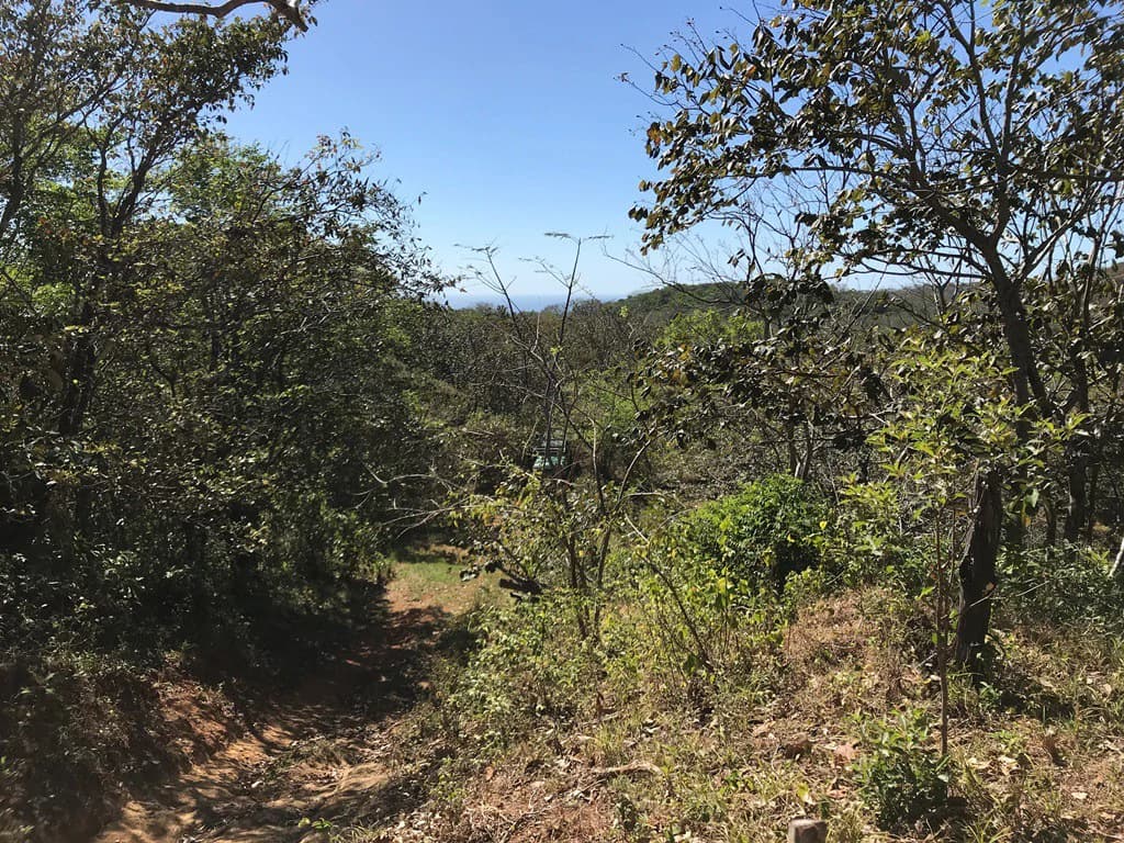 Ocean view farm for sale in the mountains of San Juanillo - photo 22