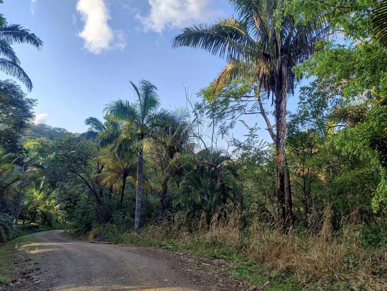 Gated Community Jungle View Lot: Near the Coast Home Construction Site For Sale in Sámara