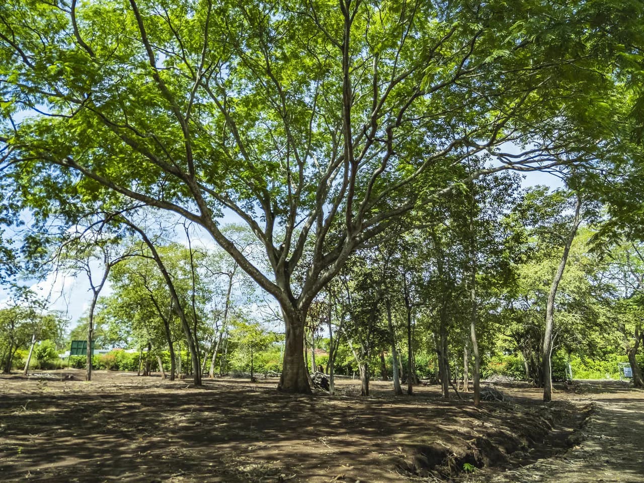 Cabo Vela Heights #4: Spacious Homesite Near Brasilito and Playa Flamingo - photo 12