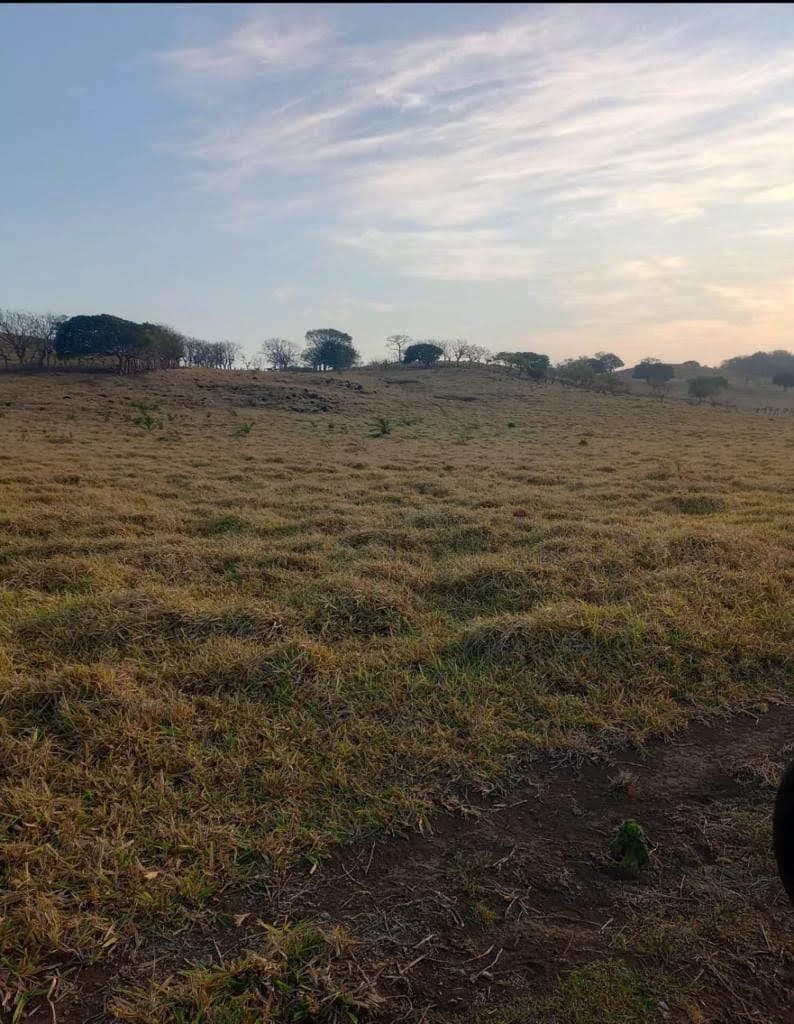Finca Los Angeles: JUST REDUCED ! 281 Acre Farm with River, Lake, and Sunset views - photo 13