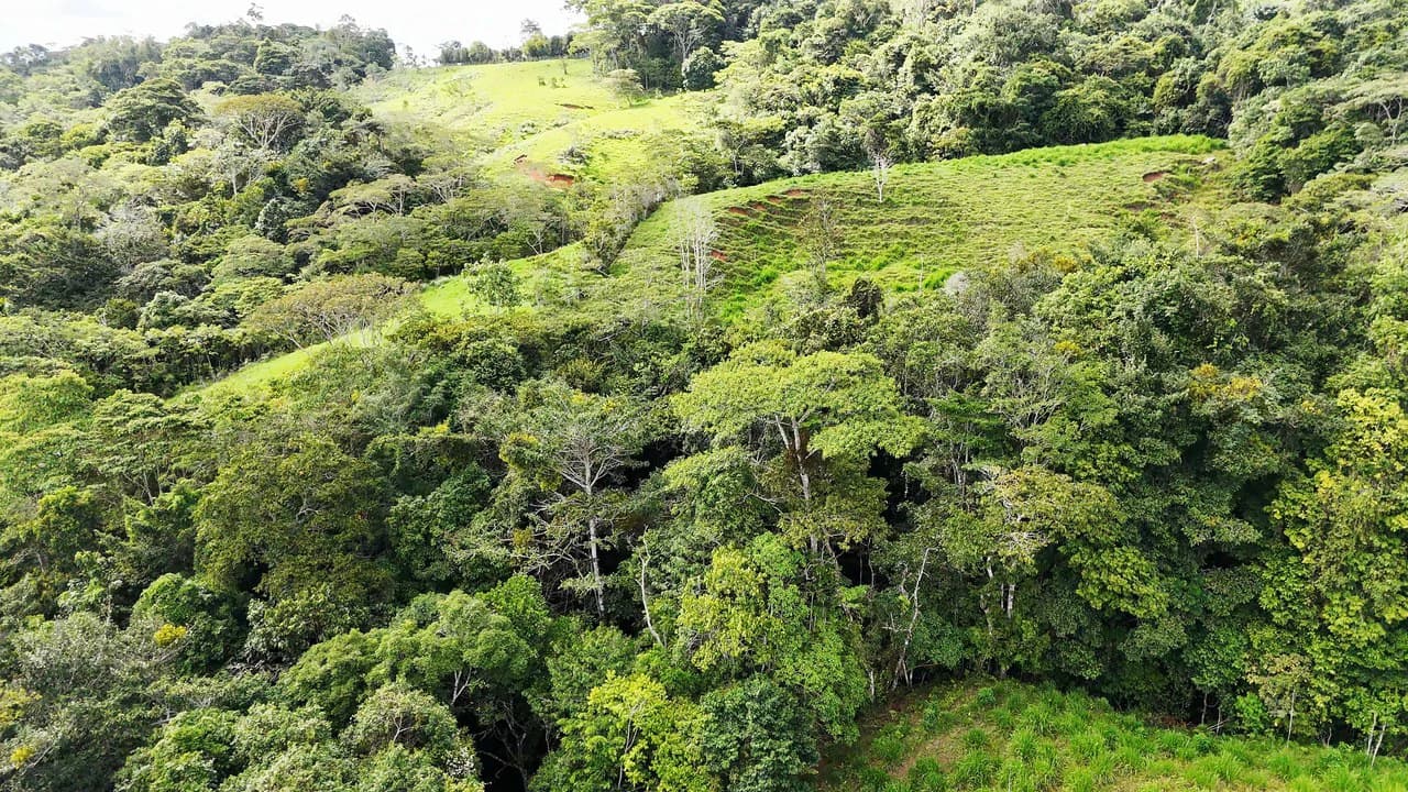 Mountain Agricultural Land For Sale in San Isidro del General - photo 9