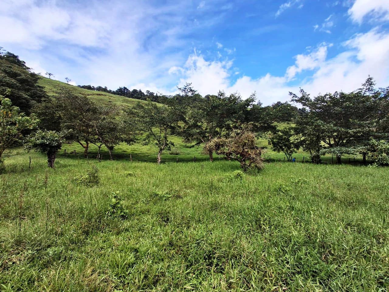 INVESTOR & DEVELOPER ALERT: High-Visibility Investment Property in the Heart of Tourist-Friendly Zarcero - photo 13