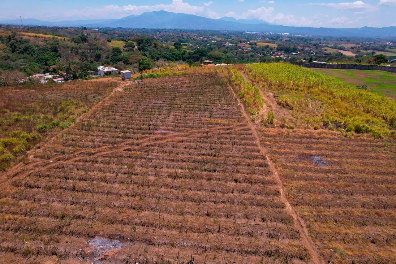 Land for Sale for Investment in Grecia - photo 4