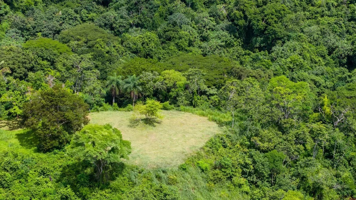 Ocean View Farm for Sale Guanacaste Costa Rica Playa Coyote - photo 19