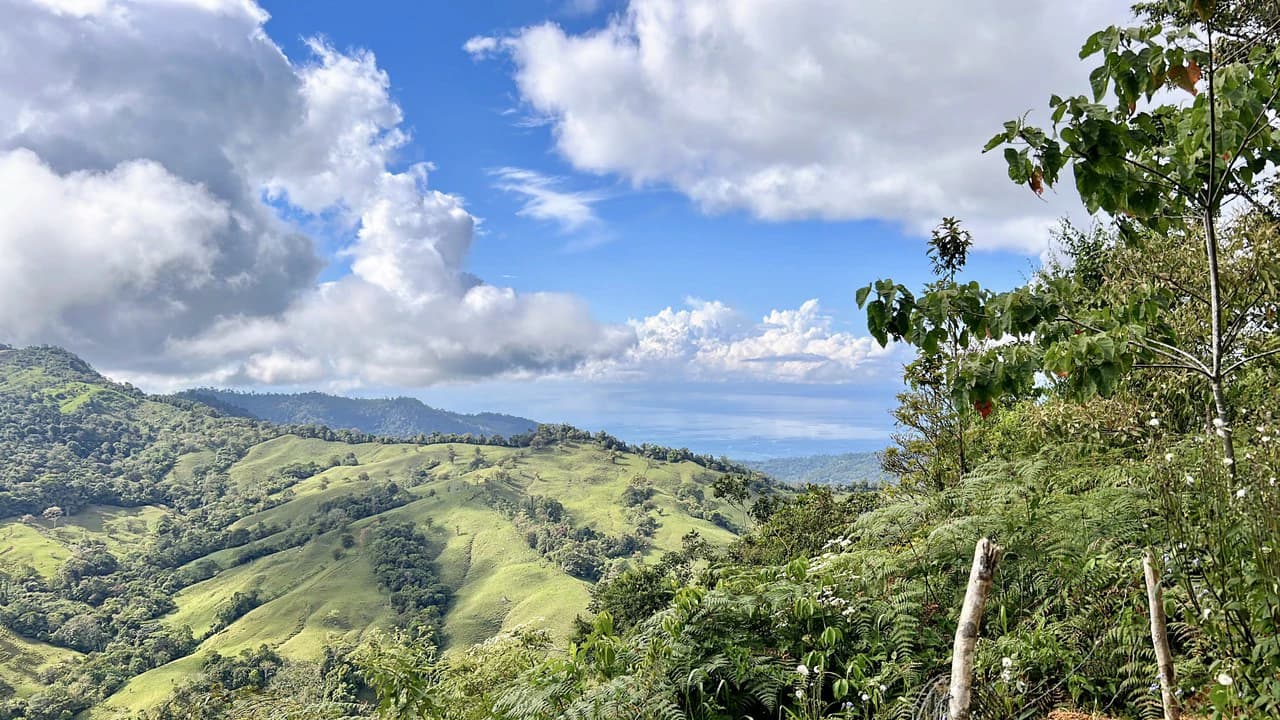 Finca Ceibo Memo: Mountain Home Construction Site For Sale in San Isidro del General - photo 4