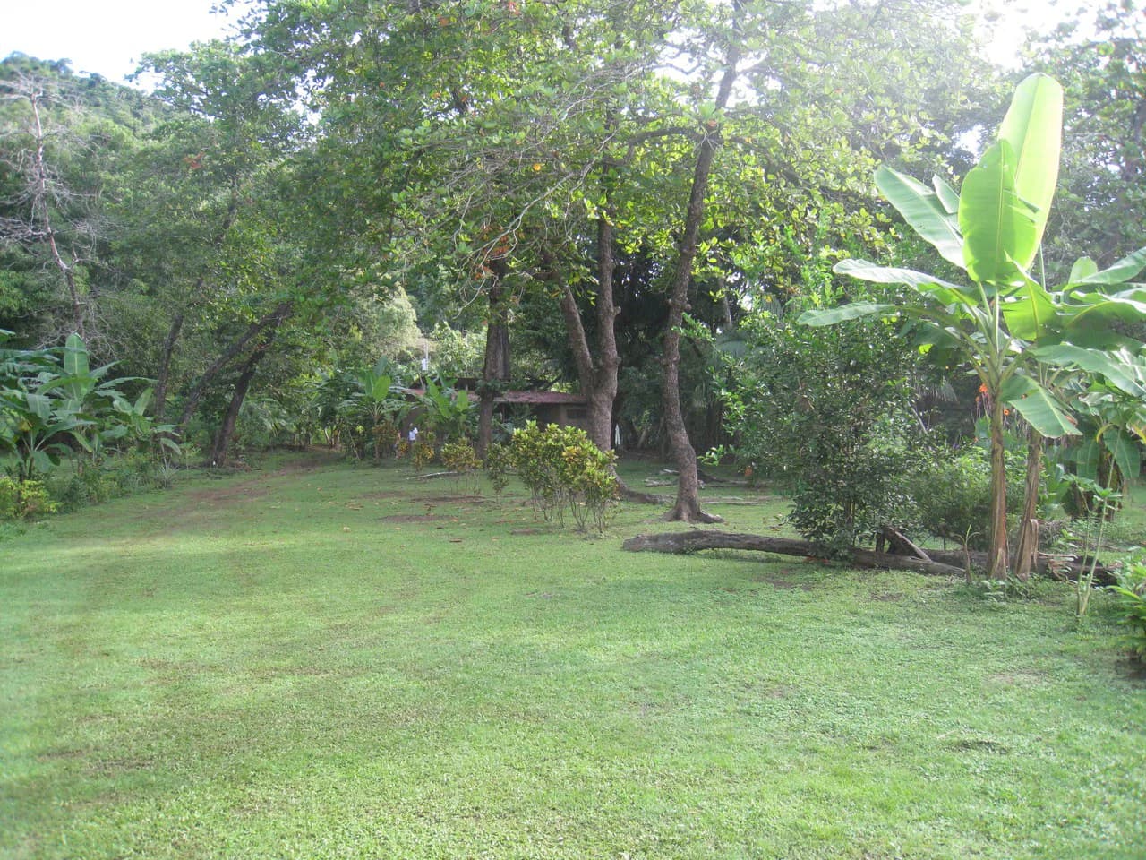 Rare Titled Beachfront Property with House - photo 10