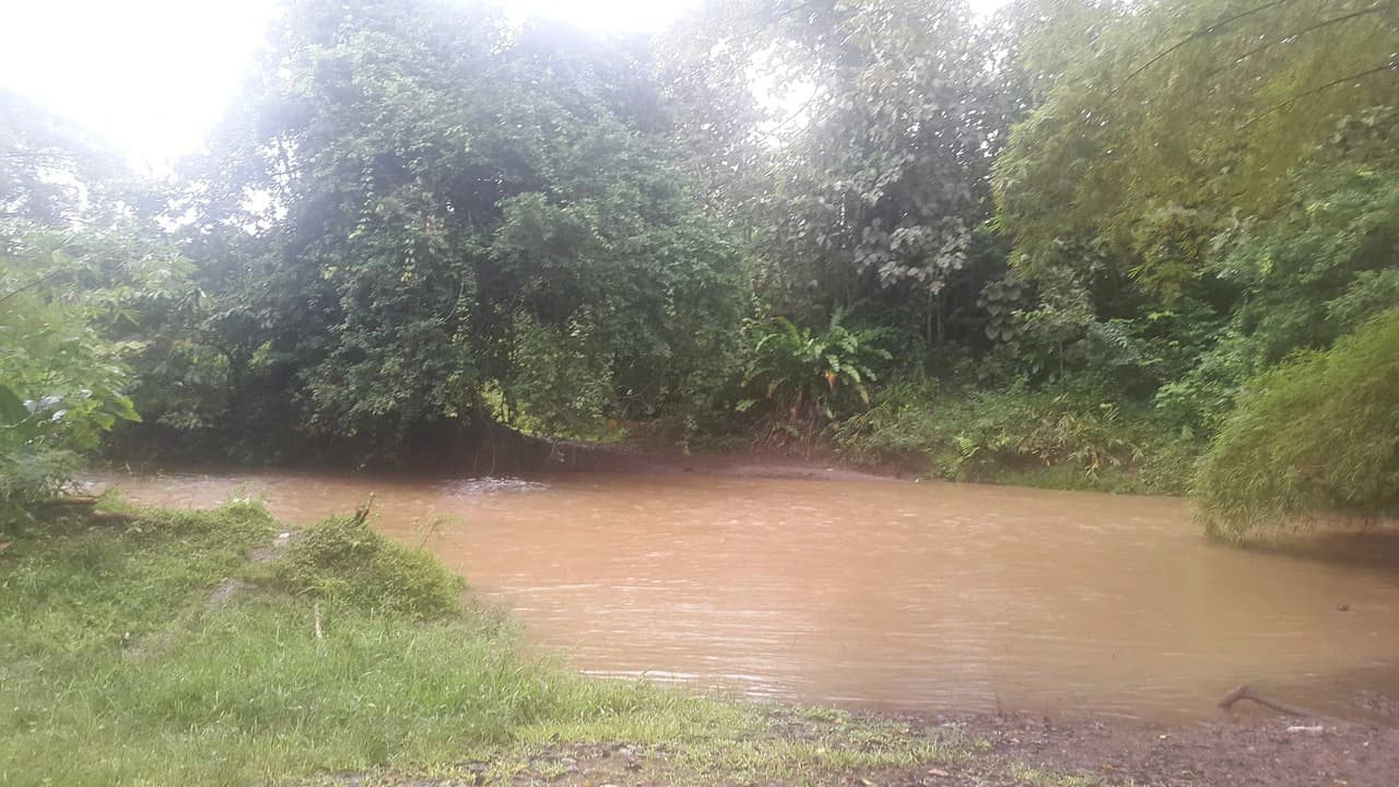 Countryside Development Parcel For Sale in Cariari - photo 18