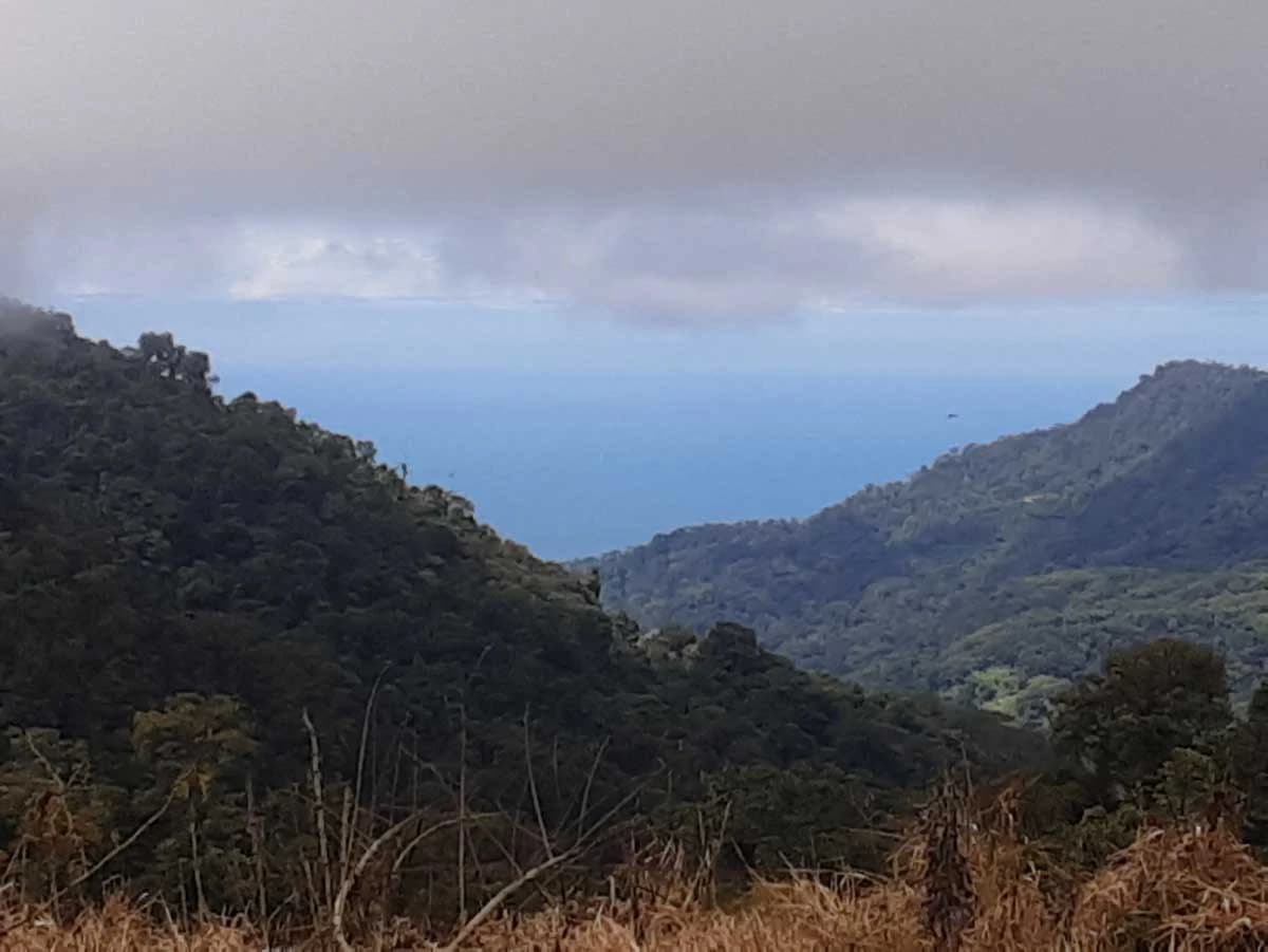 Finca Tesoro Escondido - The Jewel of Uvita - photo 10