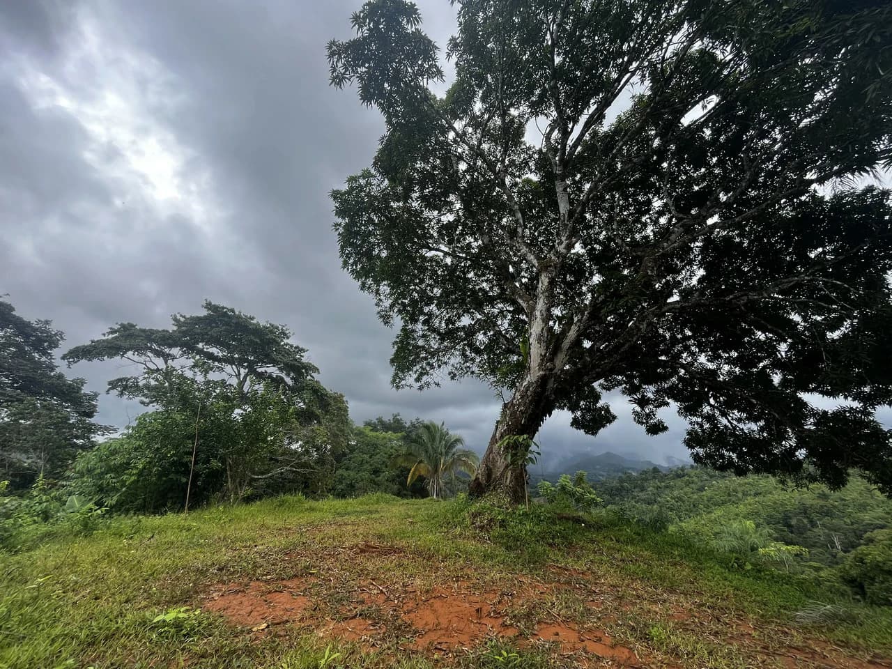 SPECTACULAR ECOLOGICAL MOUNTAIN FARM IN BIJAGUAL DE TURRUBARES - photo 35