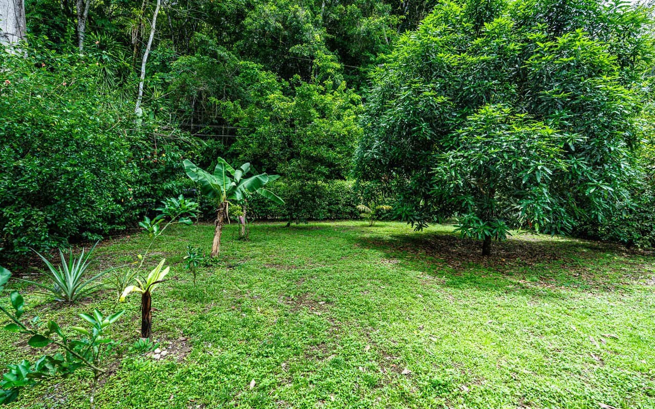 Baru Riverfront Oasis Walkable to Dominical Beaches - photo 58
